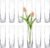Glass Cylinder Bud Vases for Centerpieces, Set of 12 Clear Small vases,Handmade Slim Flower Vases Wedding Table Decor for Single Rose vases Bulk, Home Aesthetic Desk Decor, Party Decorations,7.5″