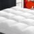 Mattress Topper Queen for Back Pain, Extra Thick Mattress Pad Cover, Plush Pillow Top, Deep Elastic Pocket, White