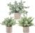 Der Rose 3 Pack Mini Potted Fake Plants Artificial Plastic Eucalyptus Plants Topiaries for Home Office Desk Farmhouse Shelf Room Bathroom Decor(Sage Green)