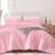 Smoofy Fluffy Queen Comforter Set 3 Pieces – Pink Fleece Fluffy Comforter Set, Luxury Fuzzy Queen Bedding Set, Soft Warm Bed Set All Season, Heavy Faux Fur Comforter with 2 Pillow Cases